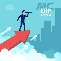 market control ERP and CRM